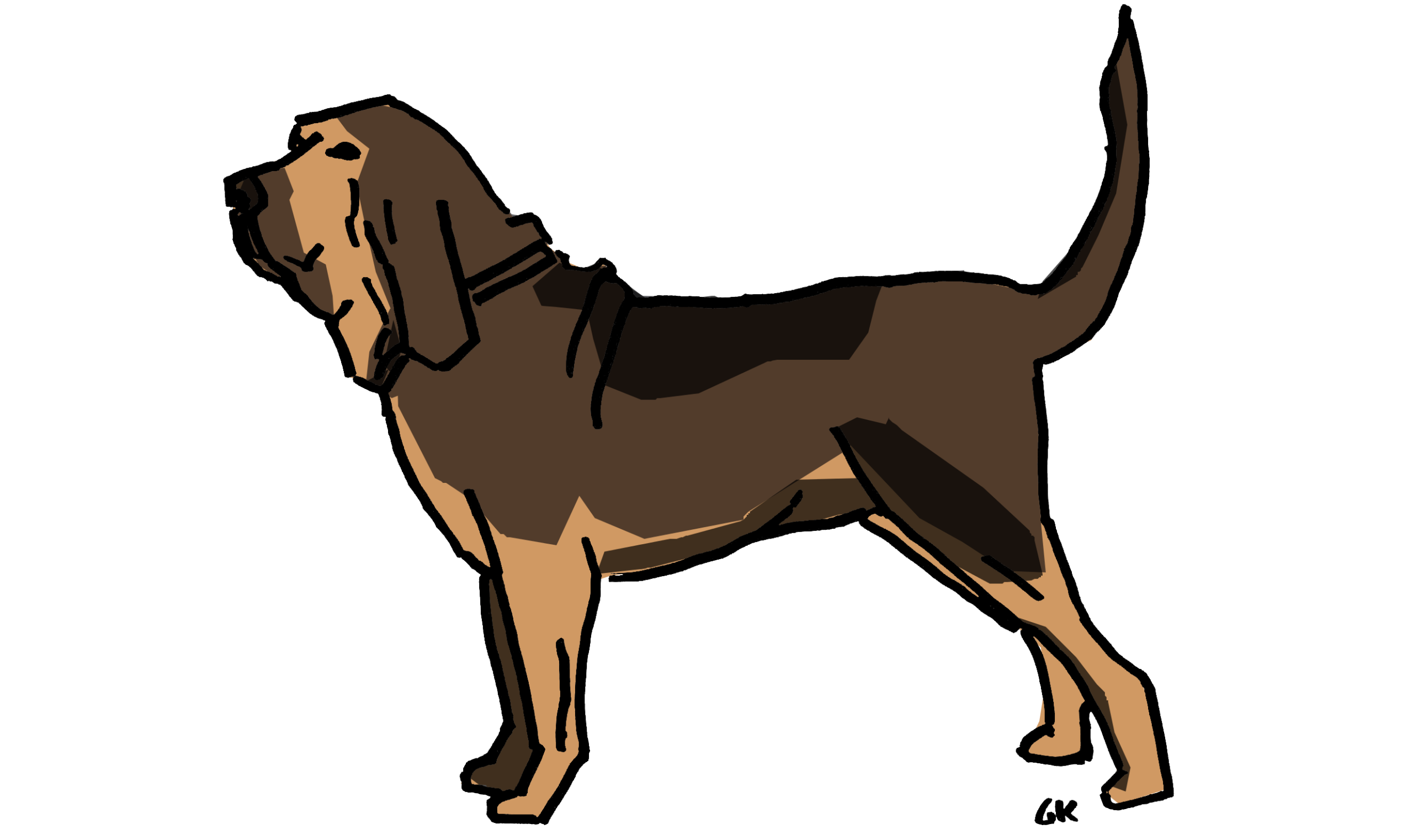 How do I find an audio visual partner?